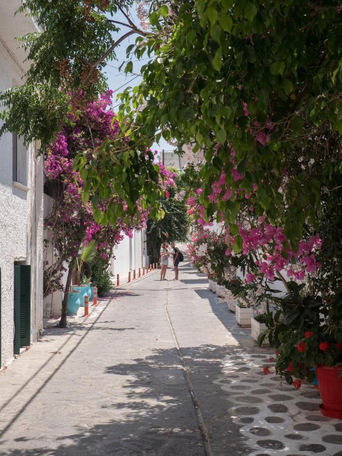 Terra Fos Naxos Studios Naxos City Kültér fotó